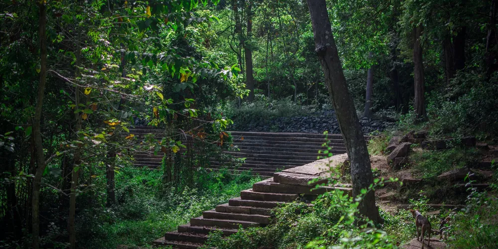 The Ruins At Ritigala in Sri Lanka