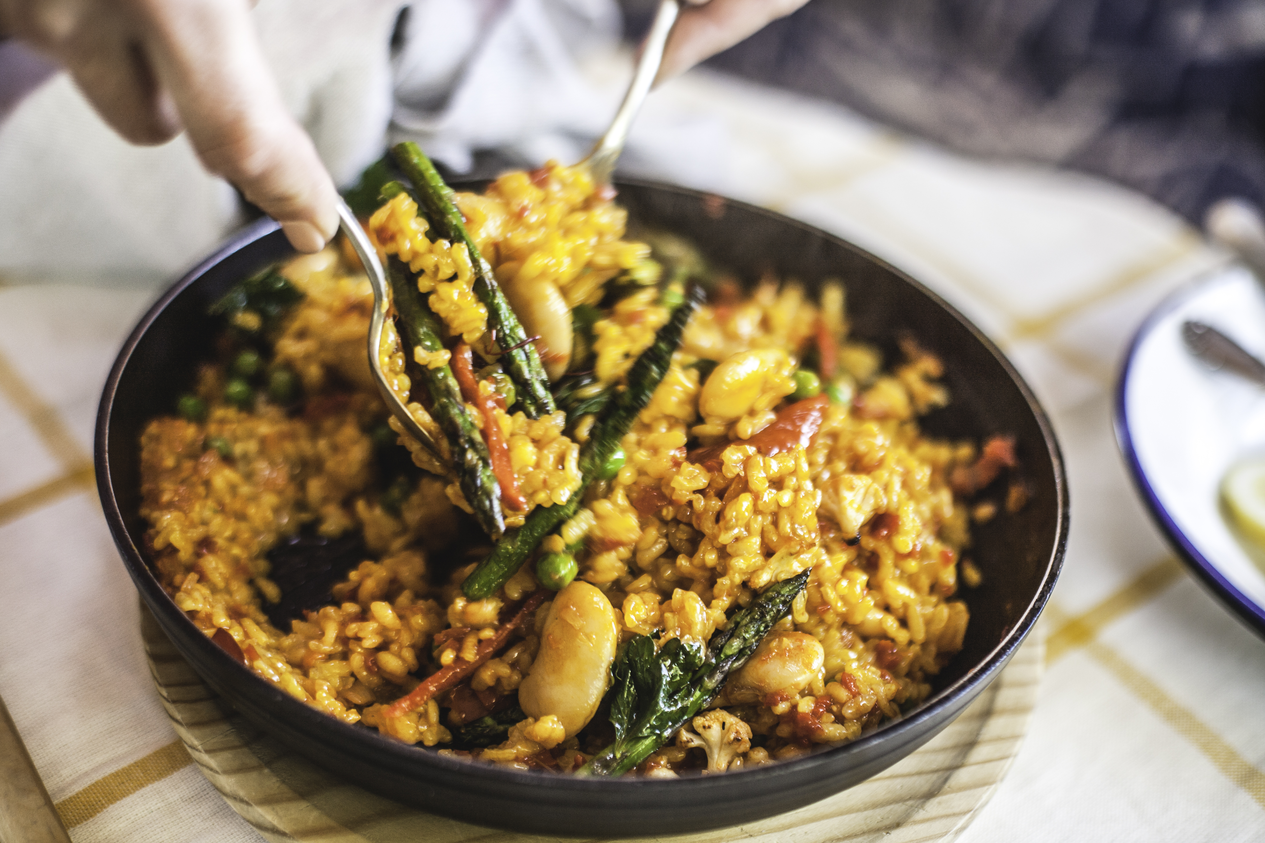 19_vegetable-paella-valencia-spain.jpg