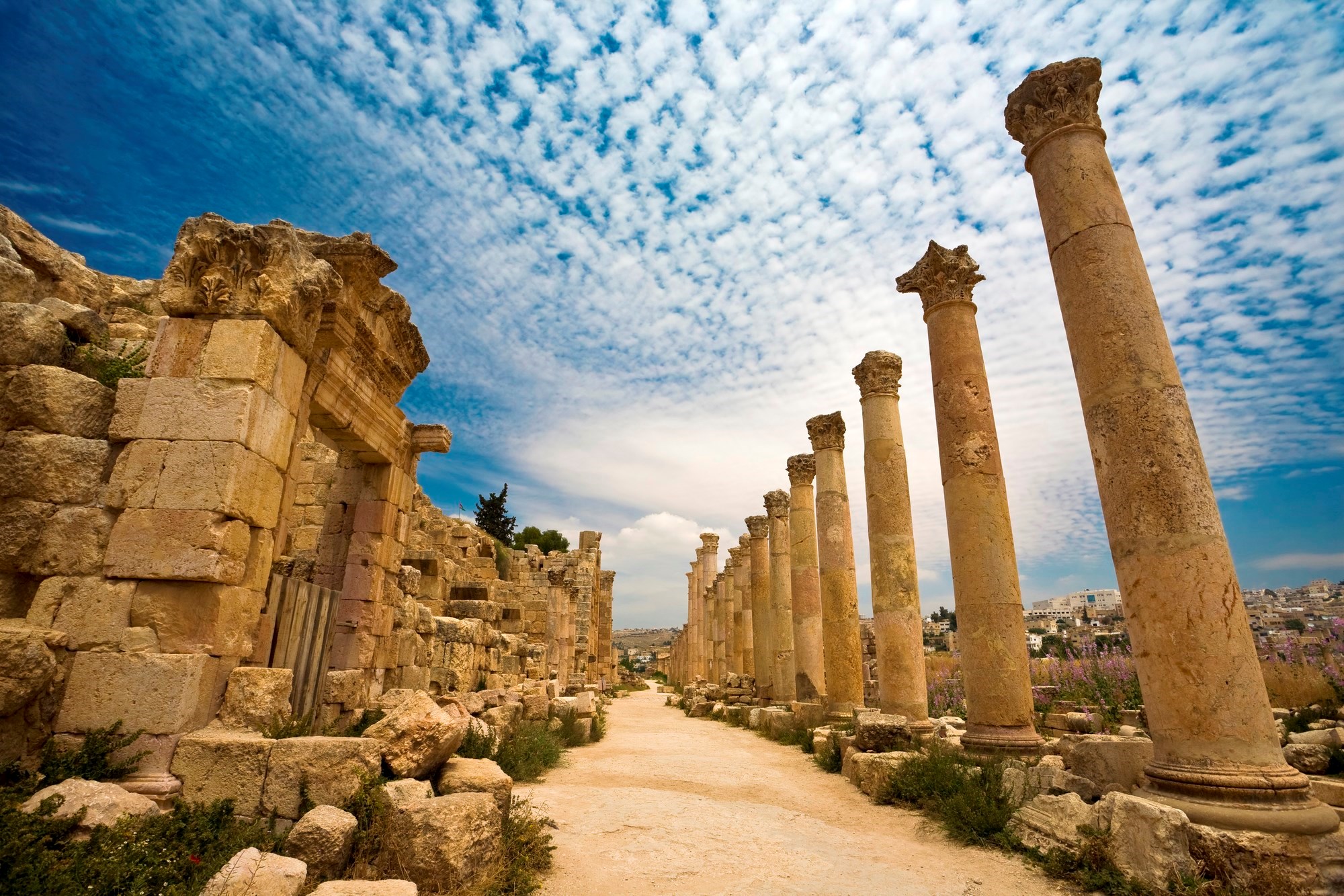 Jordan Experience Guided Tour Insight Vacations EU