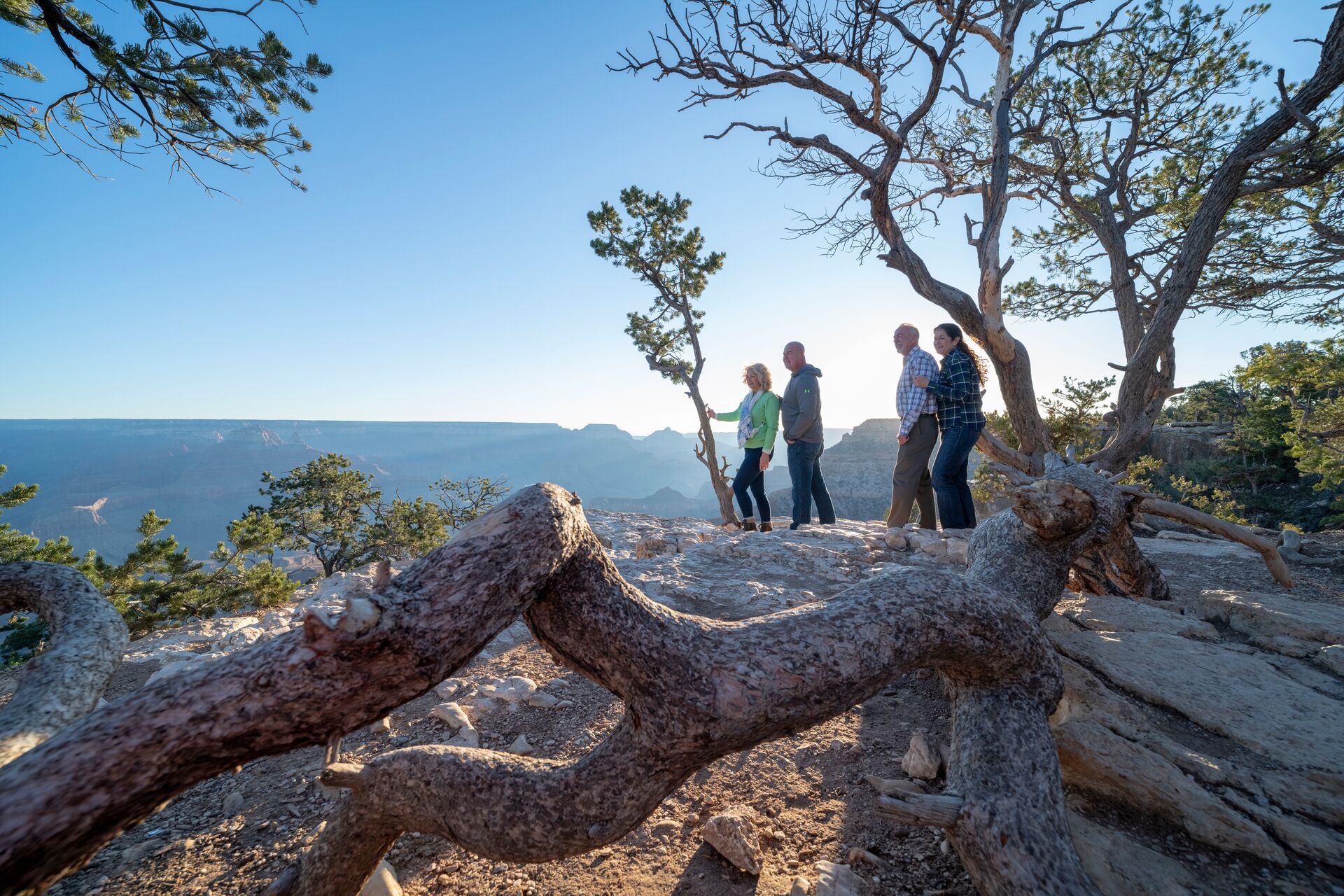Tourists looking out at the Grand Canyon National Park, USA