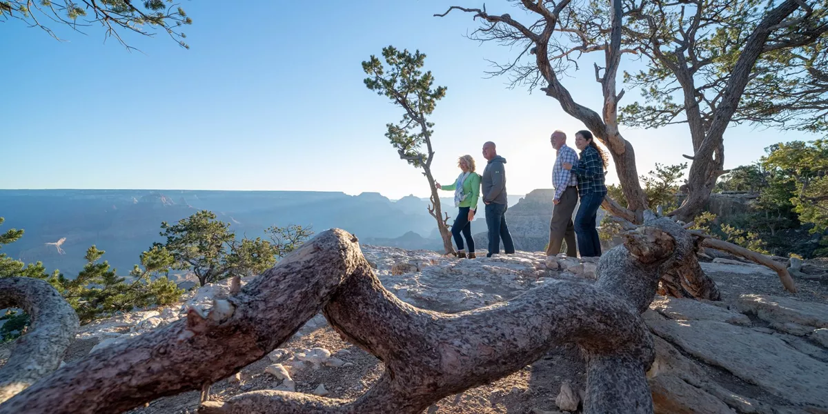 Tourists looking out at the Grand Canyon National Park, USA