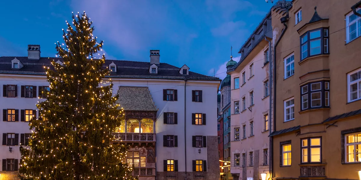 Winter Wonderland Guided Tour