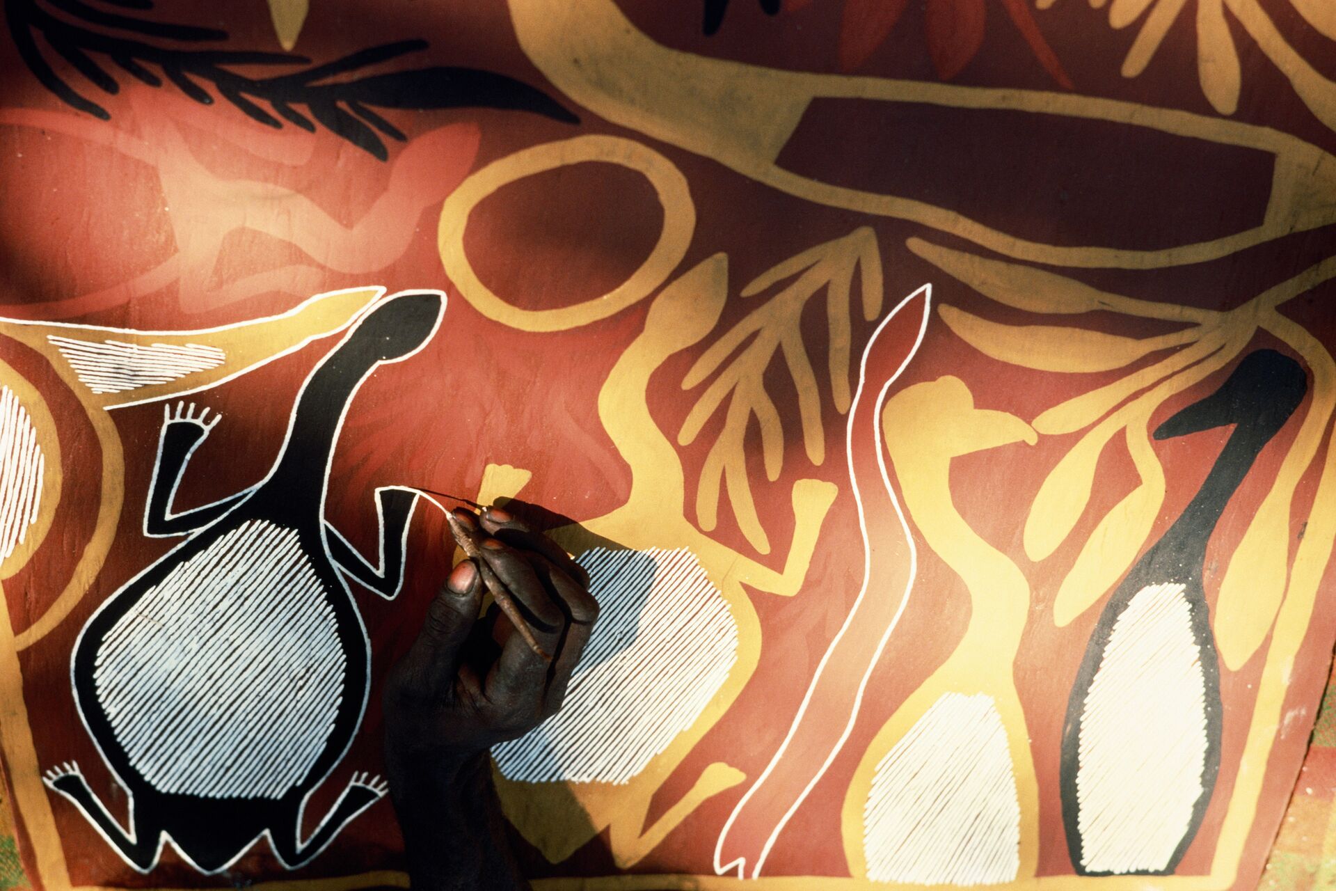 A close up view of a Aborigine Bark Painting in Arnhemland National Park, Australia