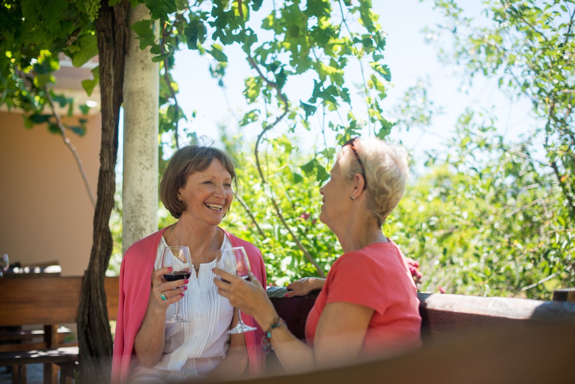 Wine tasting in Croatia