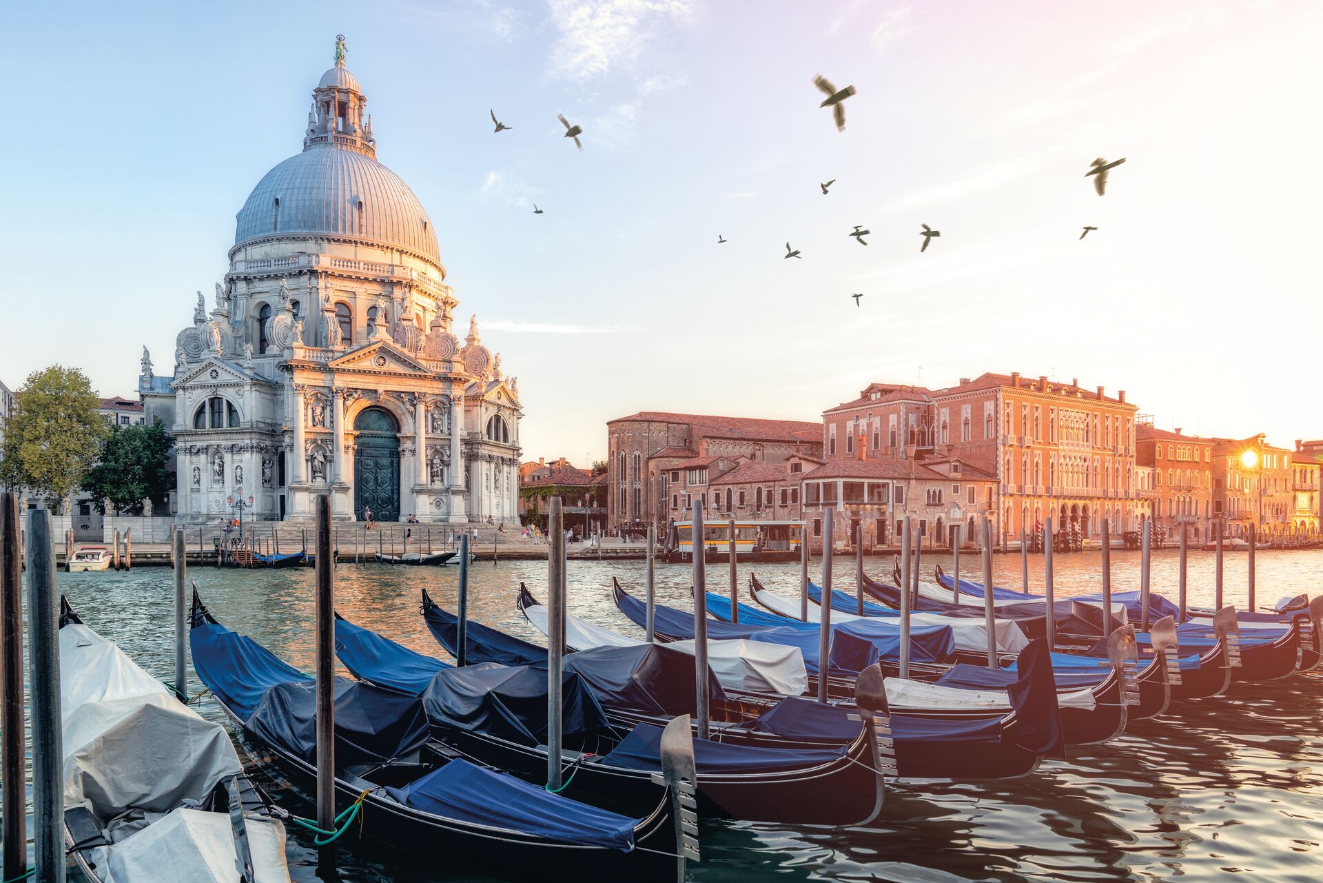 River Side View Of Santa Maria Della Salute Church with gondolas in the foreground in Venice, Italy