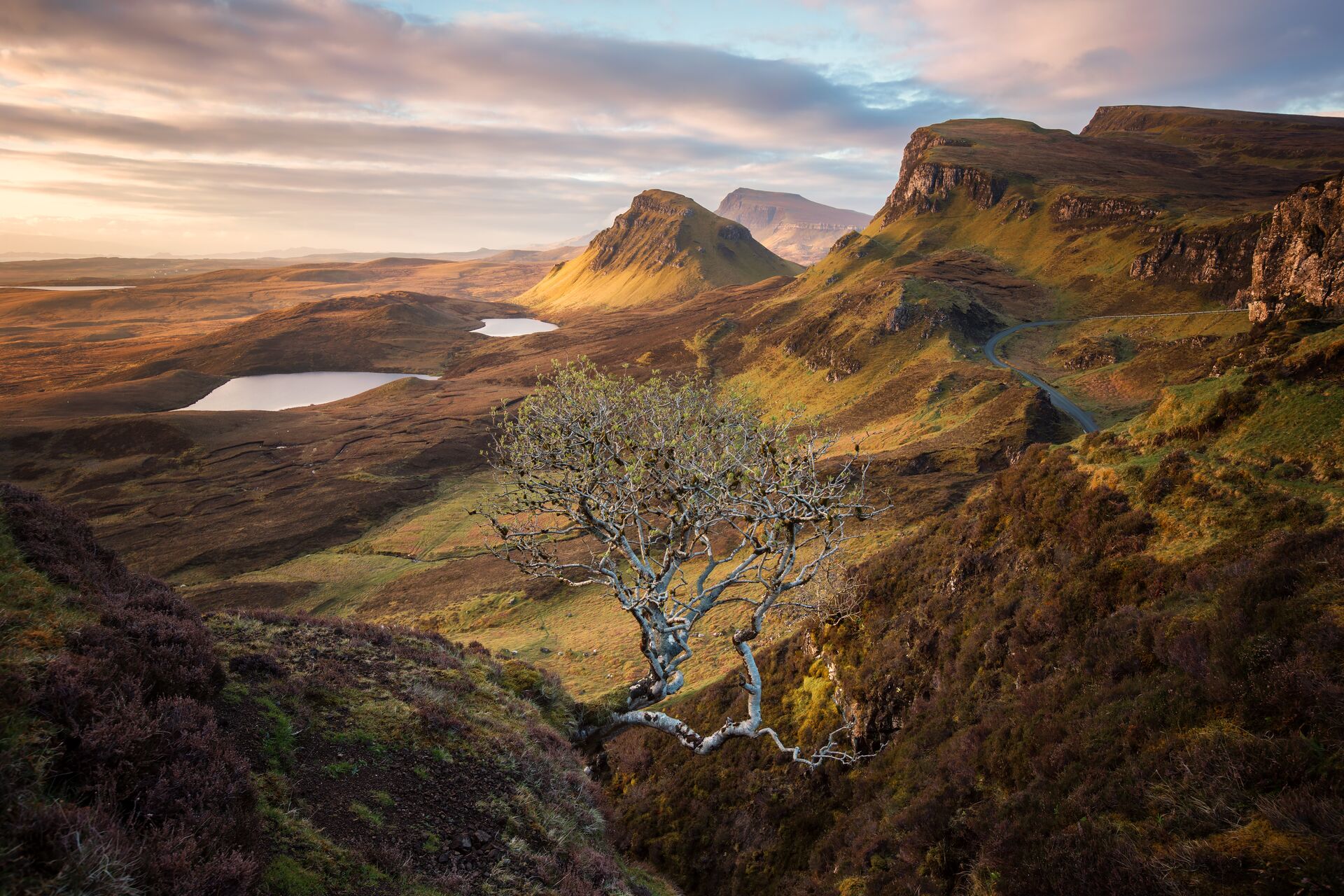 Scotland Quiraing Tree in the Scottish Highlands