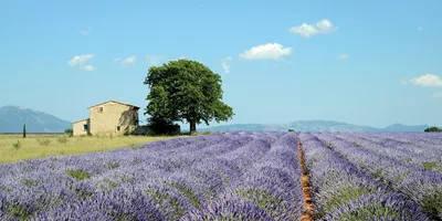 Country Roads of France Guided Tour