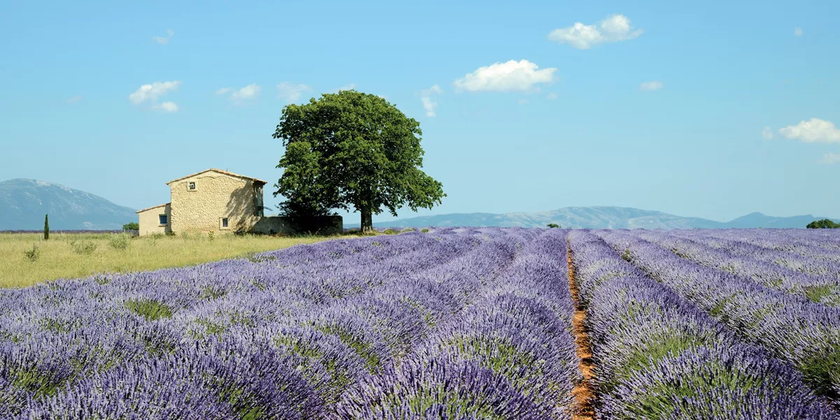 Country Roads of France Guided Tour