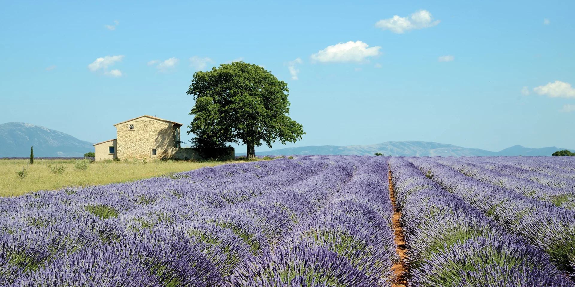 Country Roads of France Guided Tour