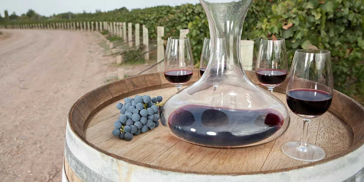 Wine tasting in Mendoza, Argentina