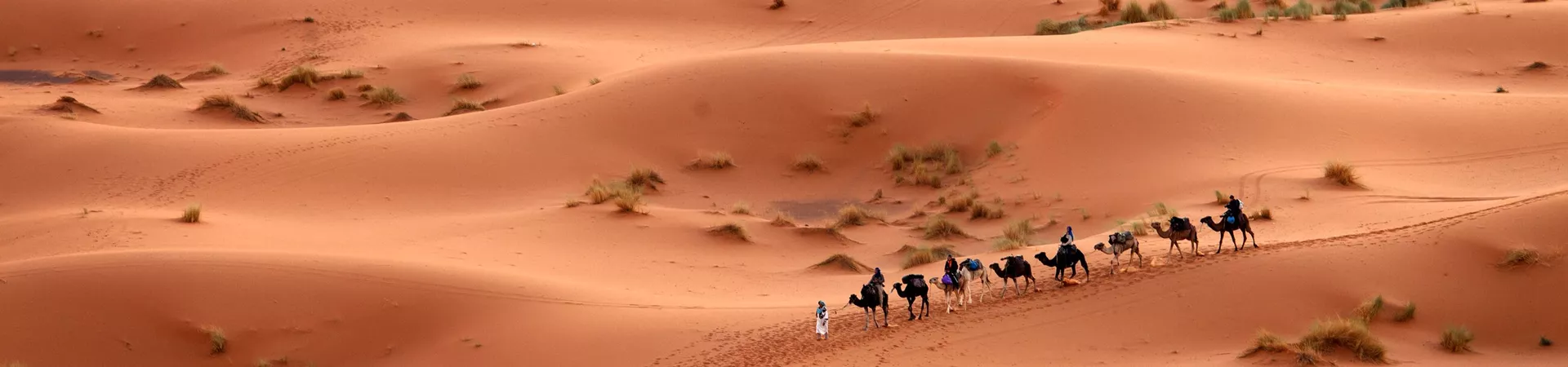 Camel ride caravan in the Sahara Desert in Morocco