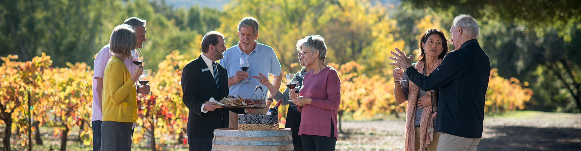 People tasting wine in a wineyard