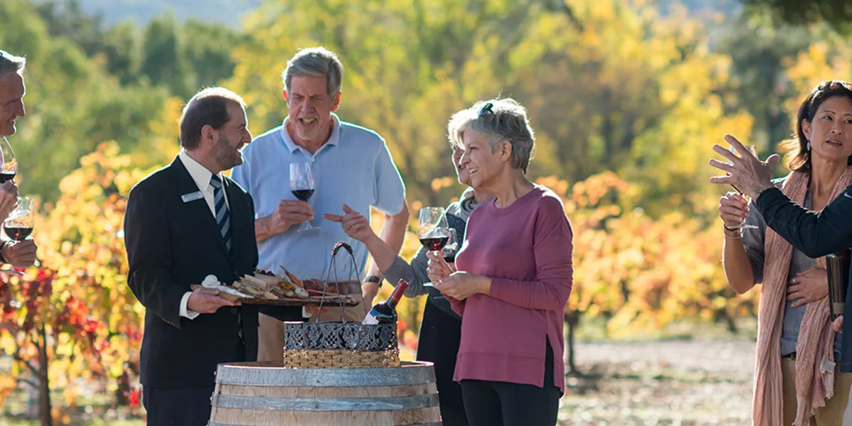 People tasting wine in a wineyard