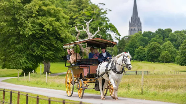 Horse-drawn carriage in Ireland