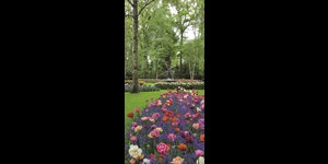 Country Roads of Belgium, Luxembourg and the Netherlands Guided Tour