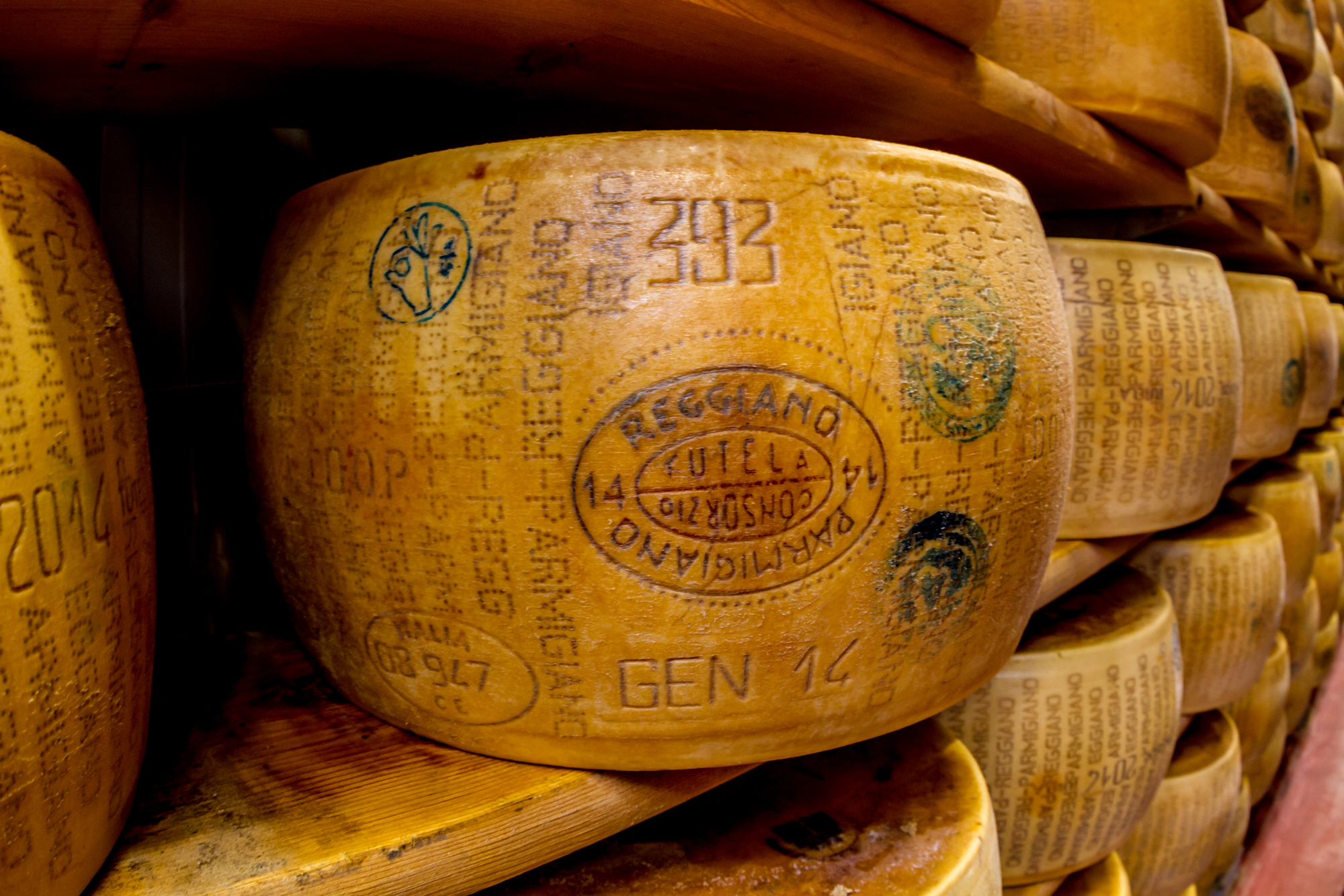 Large wheel of Parma cheese on a shelf in Parmigiano-Reggiano, Italy