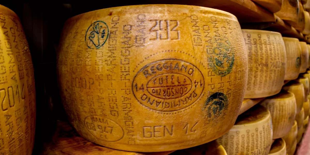 Large wheel of Parma cheese on a shelf in Parmigiano-Reggiano, Italy