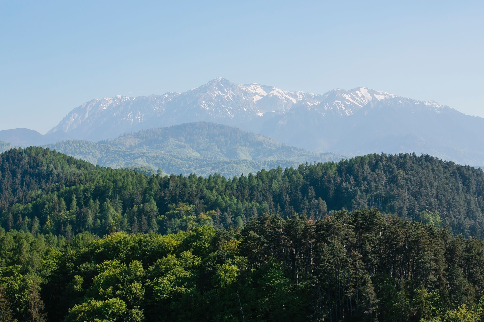 Carpathian Mountain Range