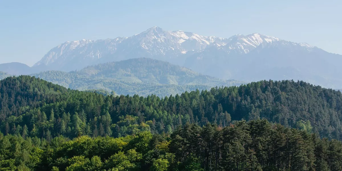 Carpathian Mountain Range