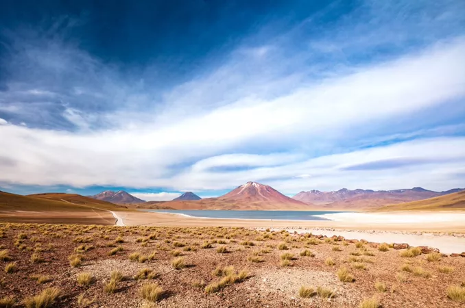 Laguna Miscanti located in Atacama desert, Chile
