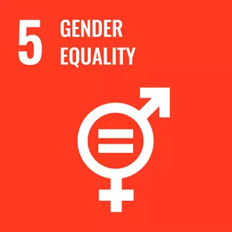'5 gender equality' against red background