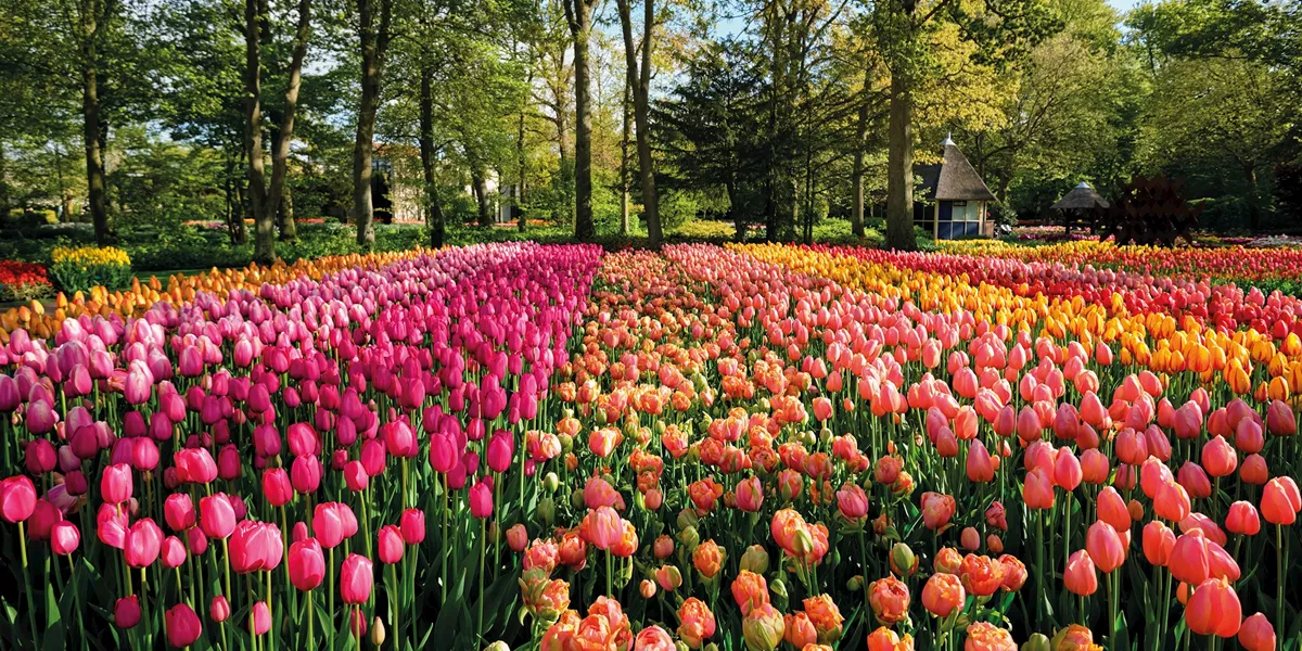 Chelsea Flower Show Springtime Alps Guided Tour