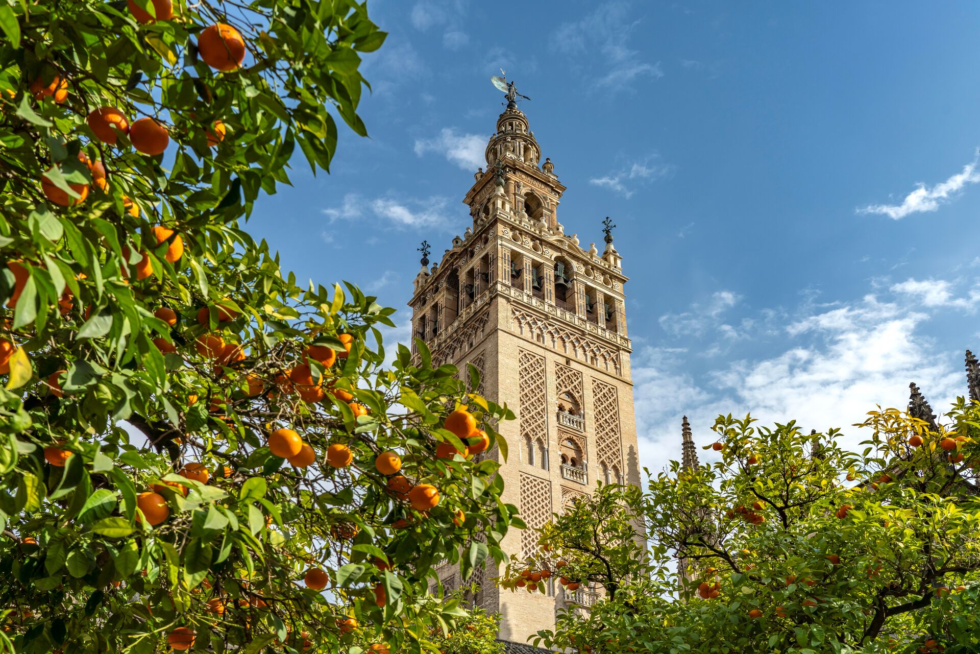 Santa Maria De La Sede Cathedral in Seville, Spain with oranges in the foreground