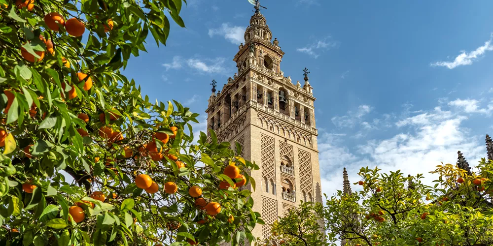 Santa Maria De La Sede Cathedral 1629364009