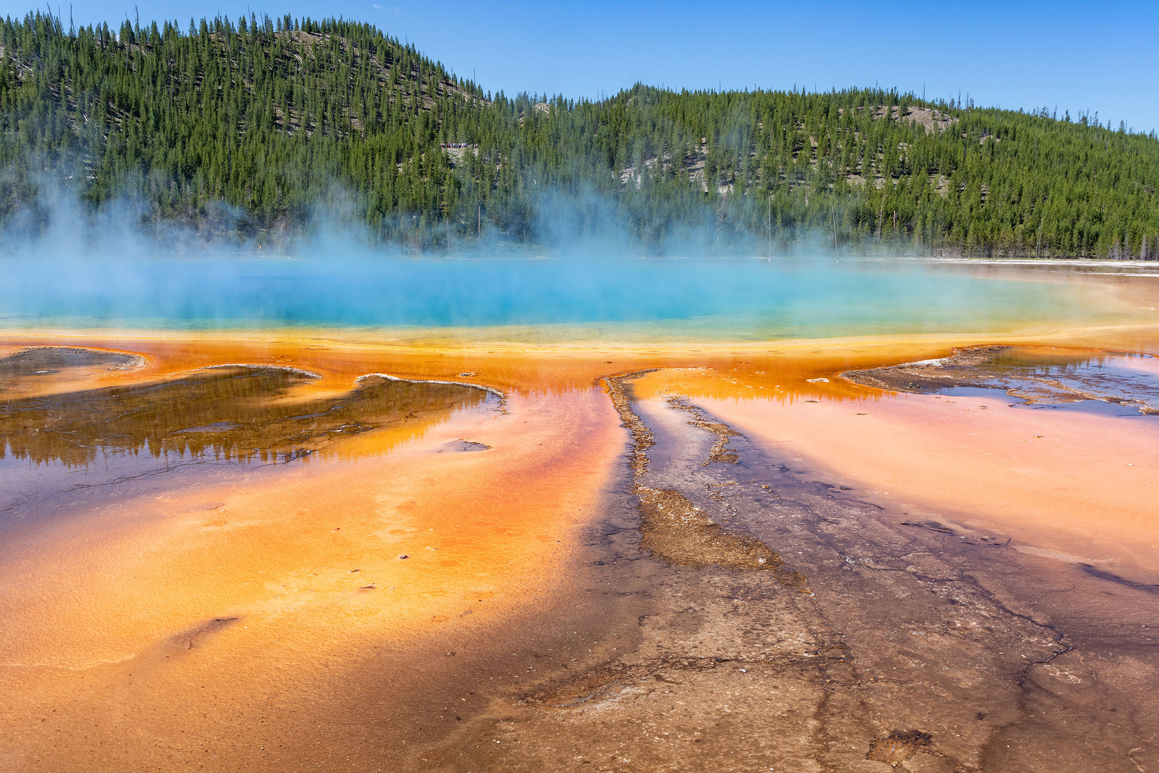 Yellowstone Discover Guided Tour | Insight Vacations AU