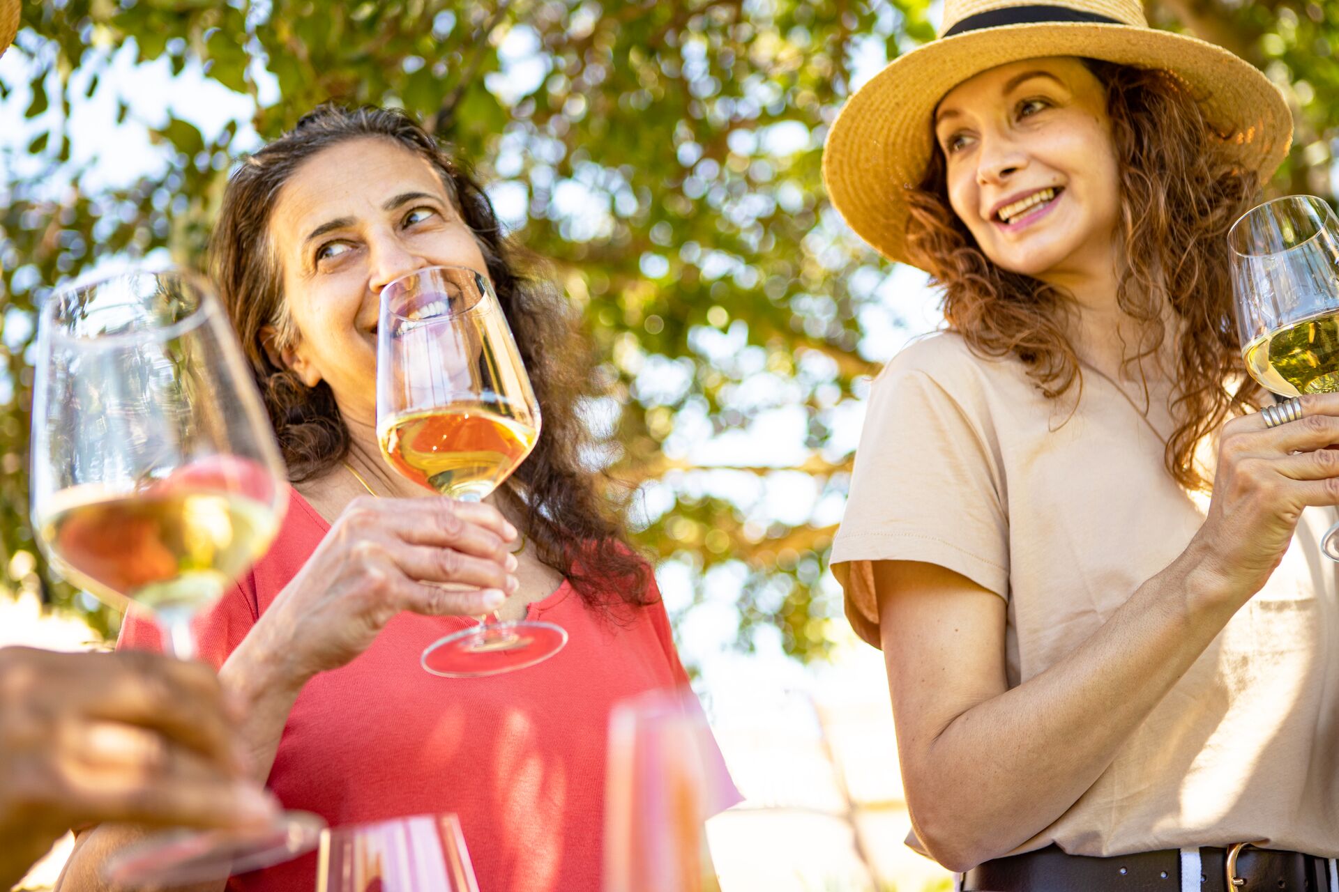 Guests enjoying wine tasting at Baglio Donna Franca wine resort in Marsala, Sicily, Italy