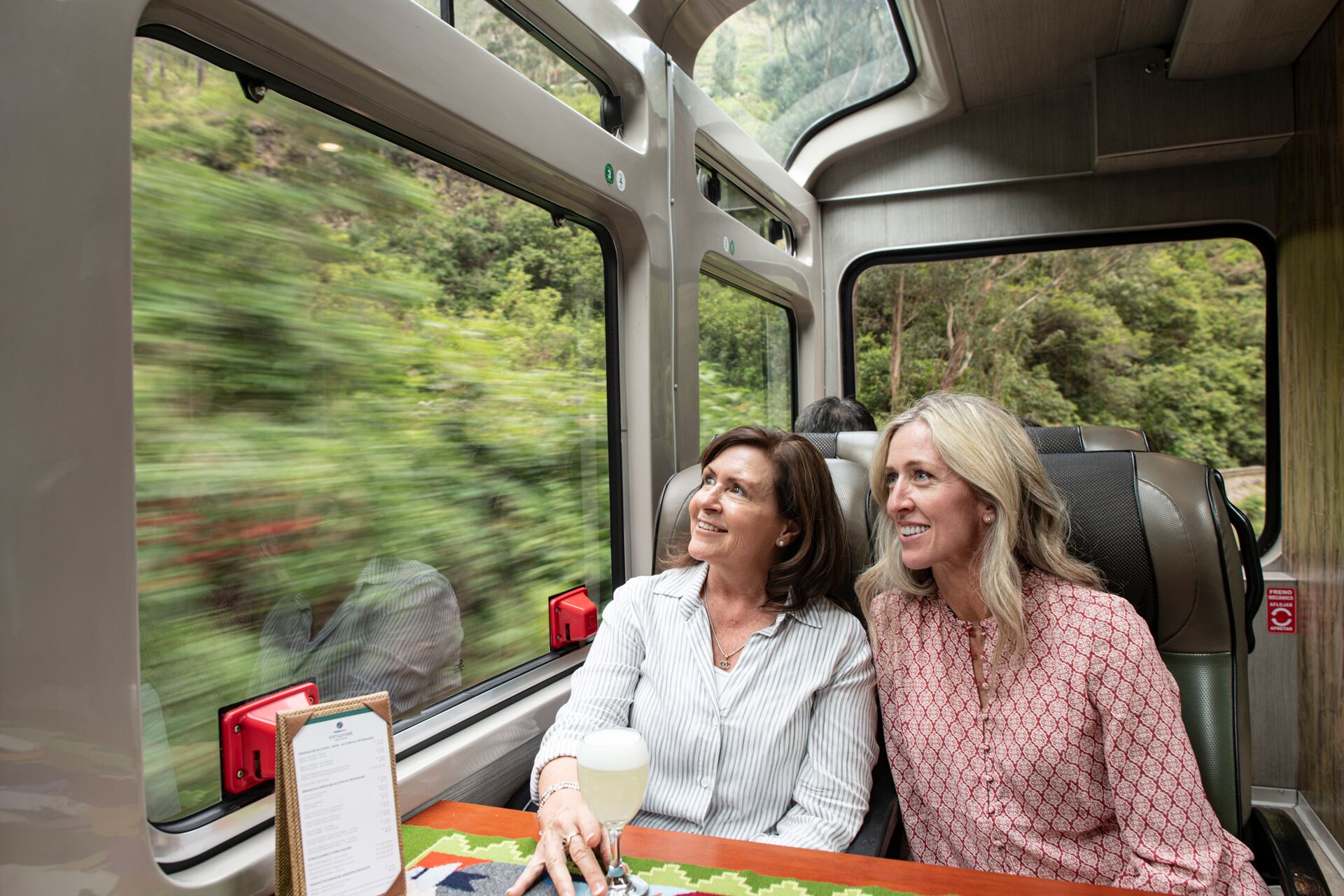 Large Vistadome Train Machu Picchu Peru 3