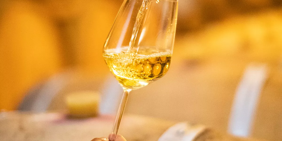 Female Run Winery Umbria Tuscany Italy 1