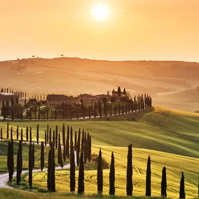 Road in Tuscany