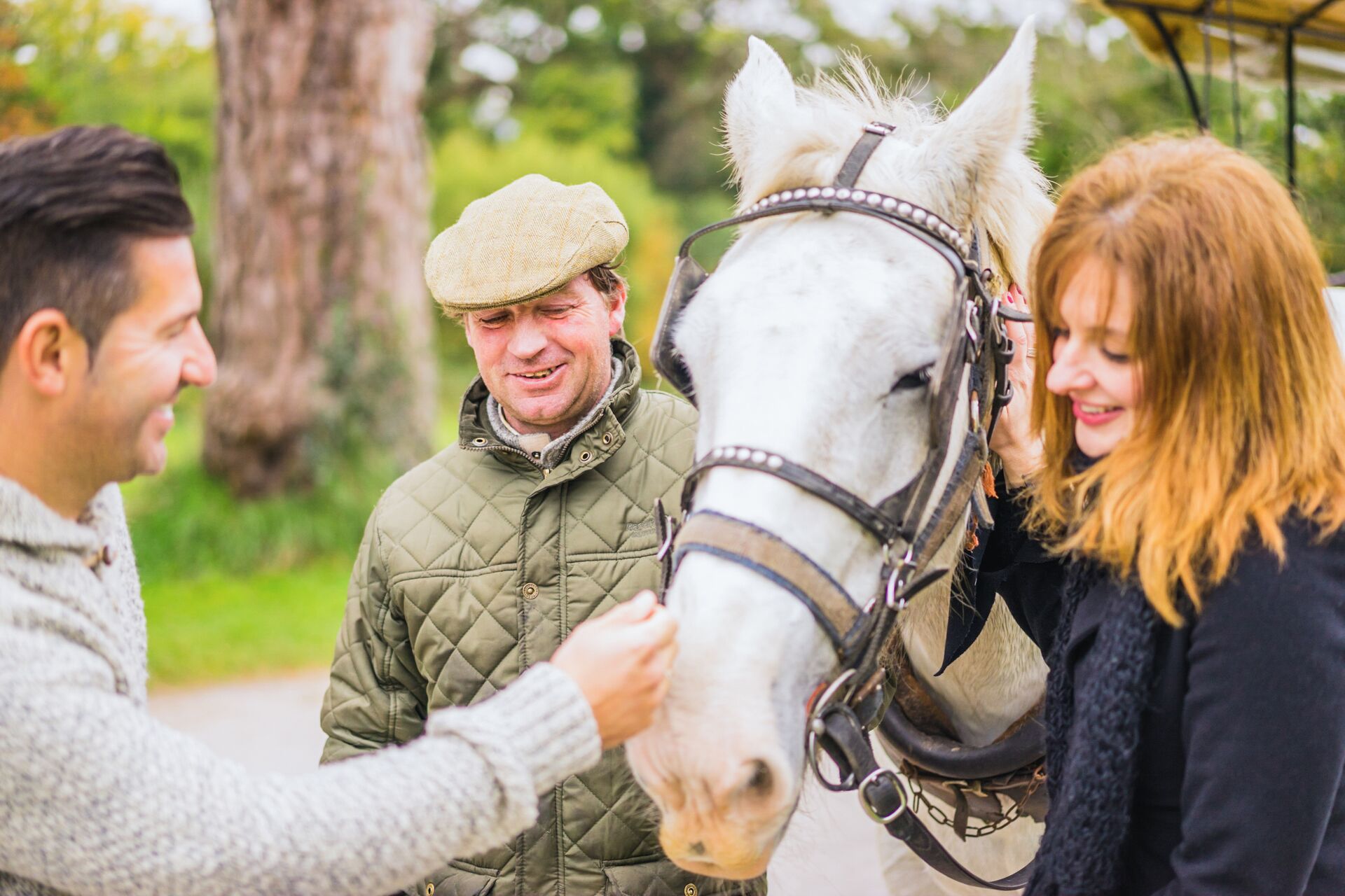 People petting a horse at a Stud Farm in Killarney, Ireland