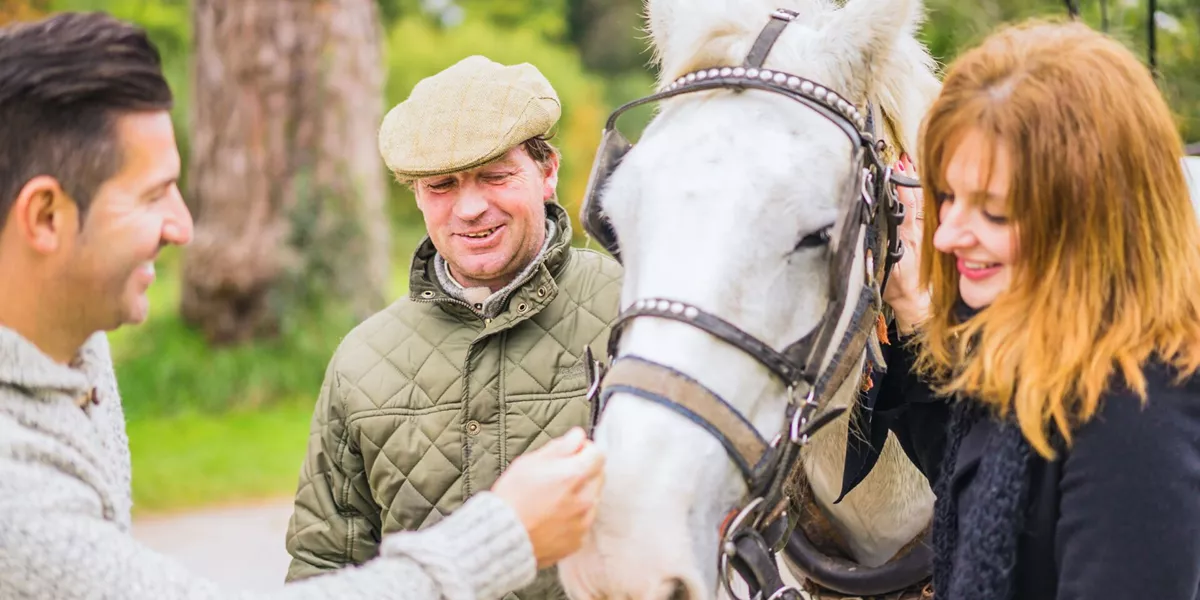People petting a horse at a Stud Farm in Killarney, Ireland