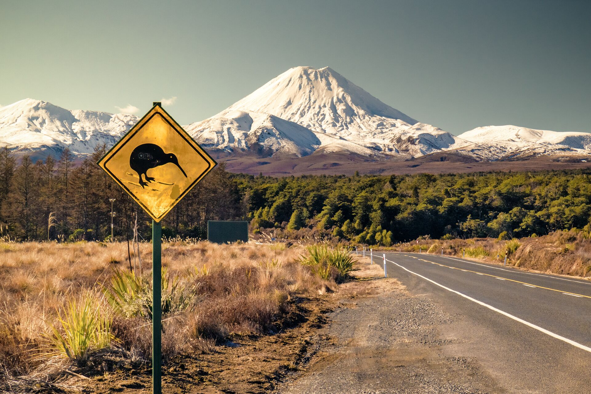 Mt Ngaruhoe with a sign depicting a kiwi bird in the foreground in New Zealand