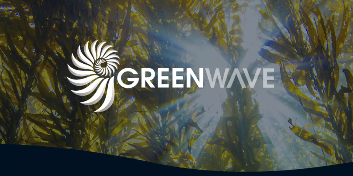 Greenwave Web Banner