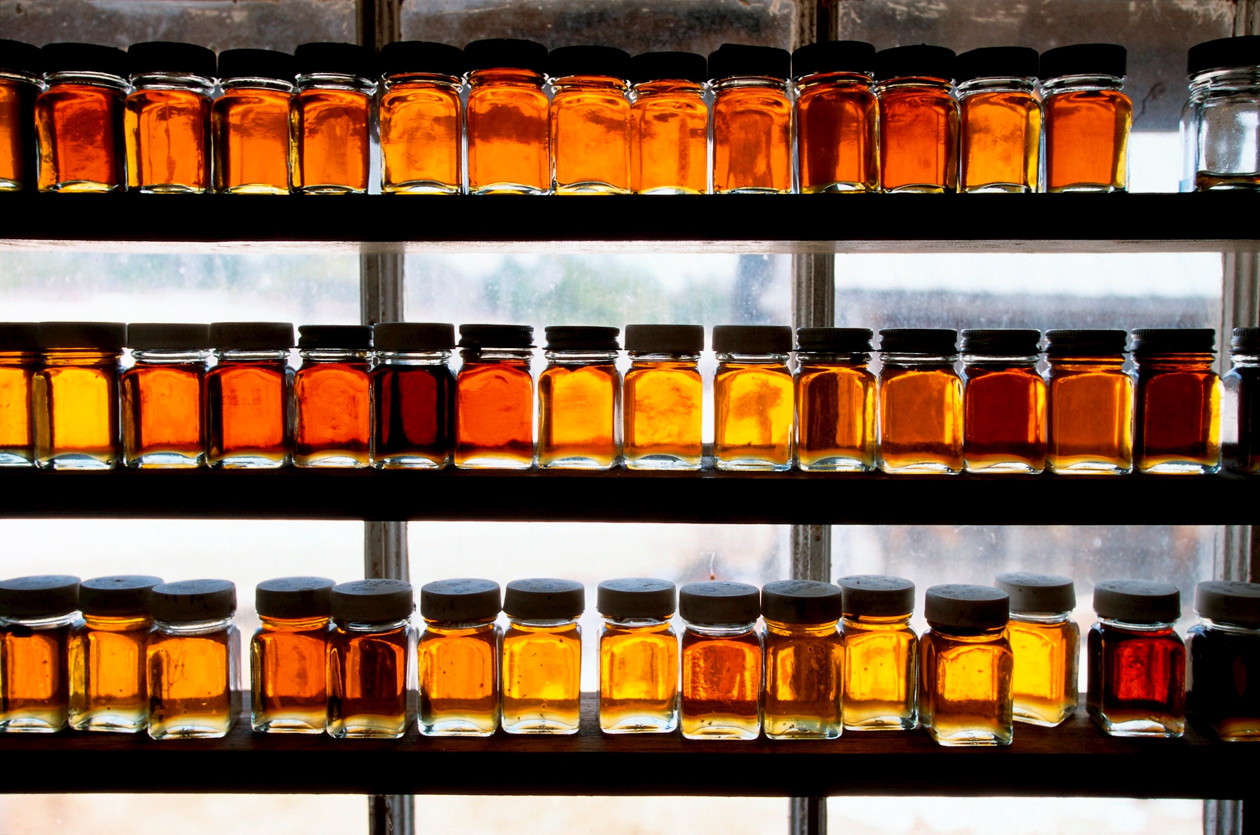 Maple syrup on on shelves with the sun behind them at Morse Farm Maple Sugarworks in Montpelier, USA