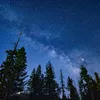 Large Milky Way Nights In Sequoia 1140808510
