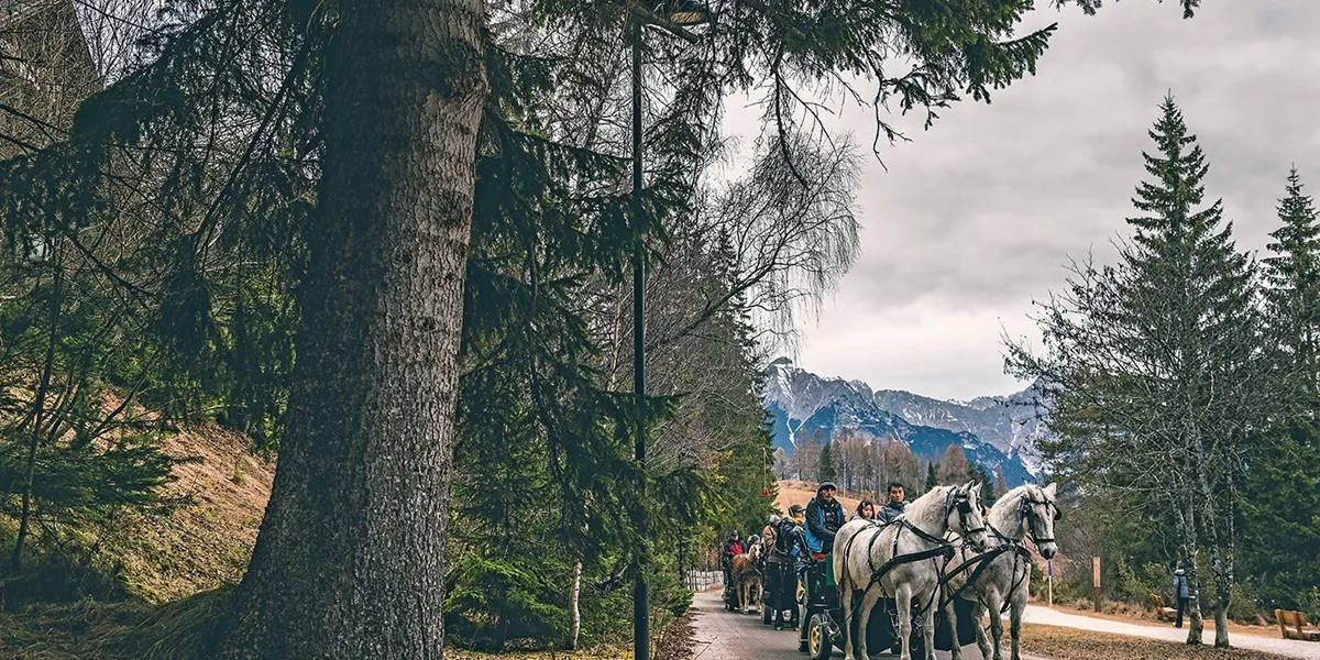 Horse-drawn carriage ride through the trees in Innsbruck