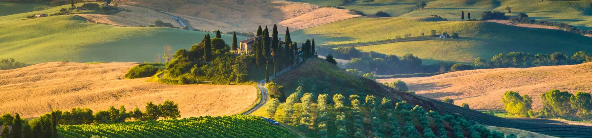 Tuscan countryside with rolling hills and tall narrow trees. A building is hidden in trees in the centre.