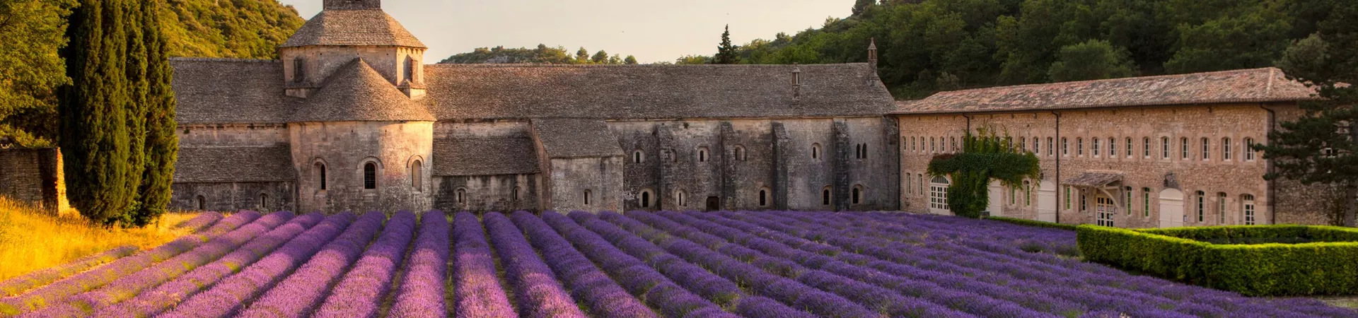 Sunset at the Senanque Abbey in Provence, South of France, France