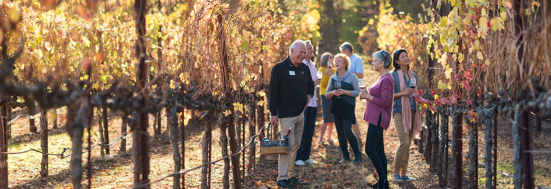 A group of tourists in a vineyard.