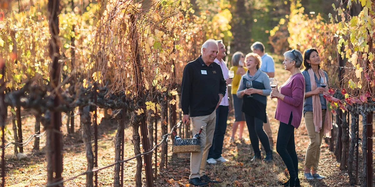A group of tourists in a vineyard.