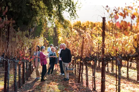 Travel Now Pay Later Powered By Uplift