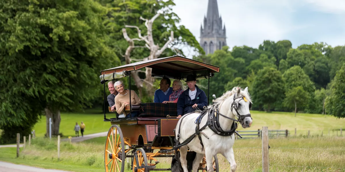 Jaunting Car Ride in Killarney, Ireland