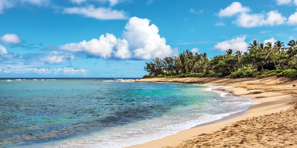 Large Sunset Beach, Oahu, Hawaii 591993842RTD