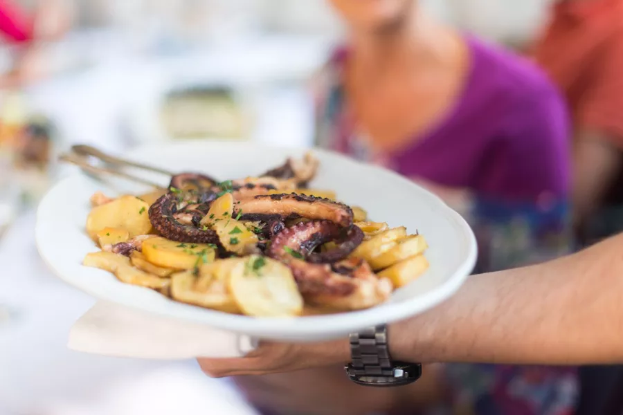 Octopus lunch in Croatia