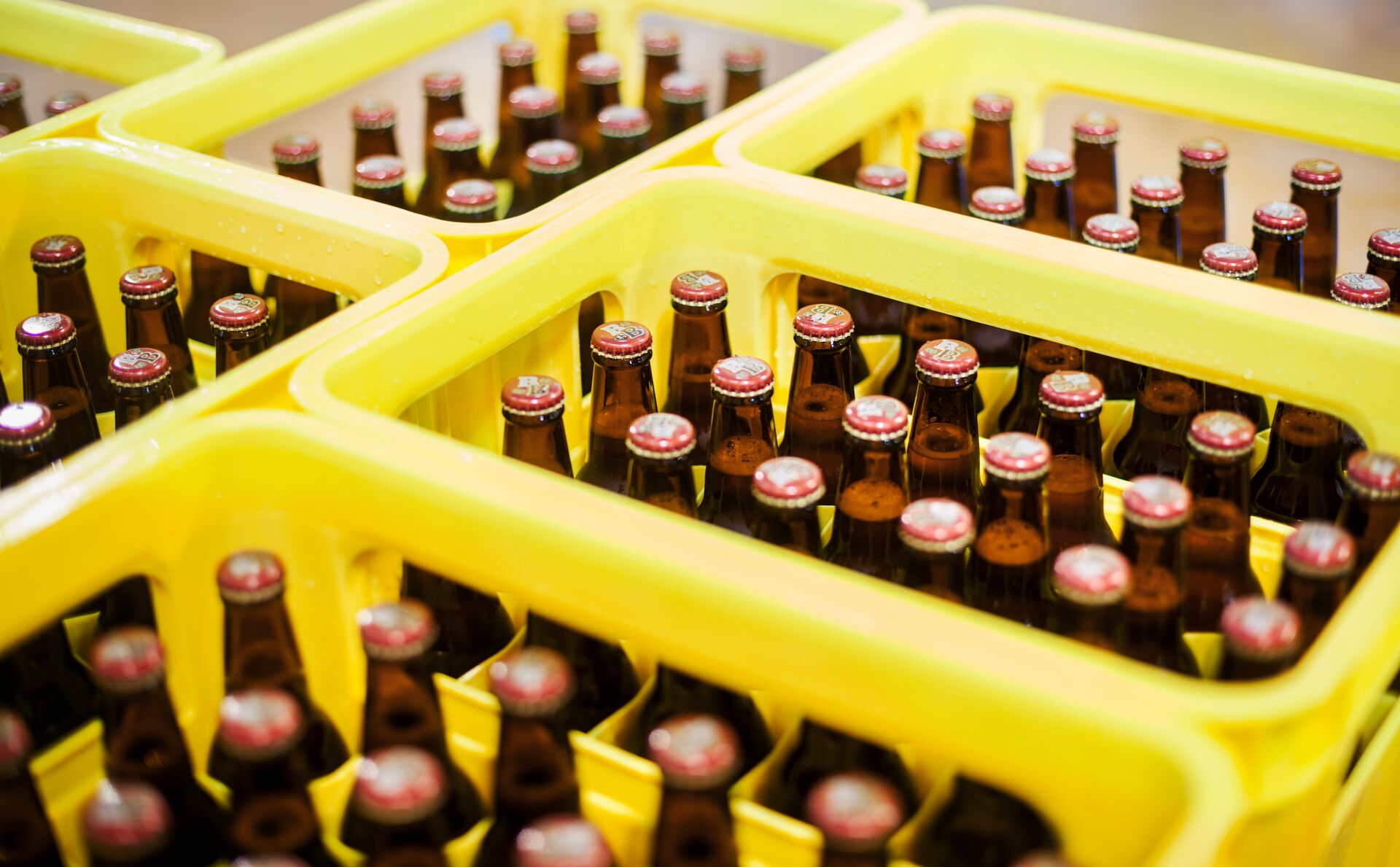 Yellow plastic crates with beer bottles in a brewery