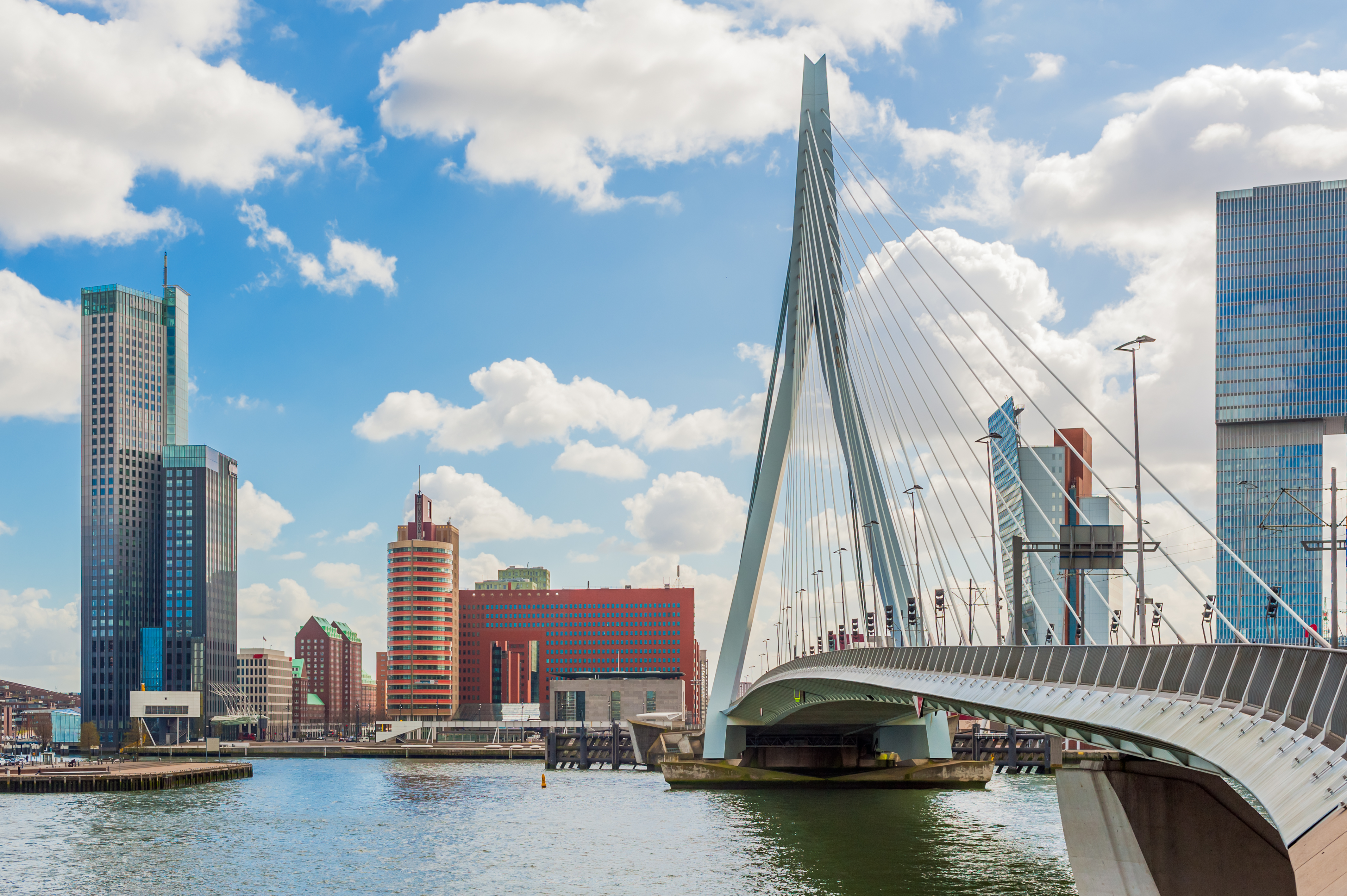 Erasmus Bridge in Rotterdam, Amsterdam